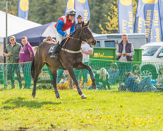 The South East Hunts Club Members conditions Race