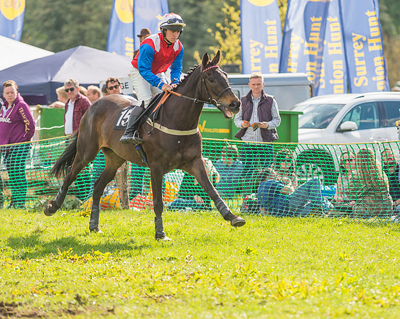 The South East Hunts Club Members conditions Race