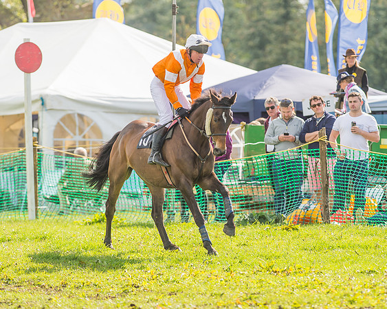 The South East Hunts Club Members conditions Race