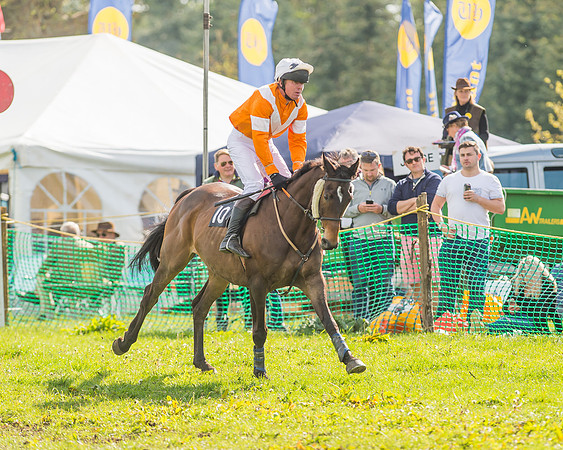 The South East Hunts Club Members conditions Race