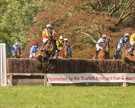 The South East Hunts Club Members conditions Race