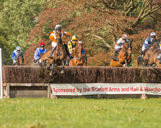 The South East Hunts Club Members conditions Race