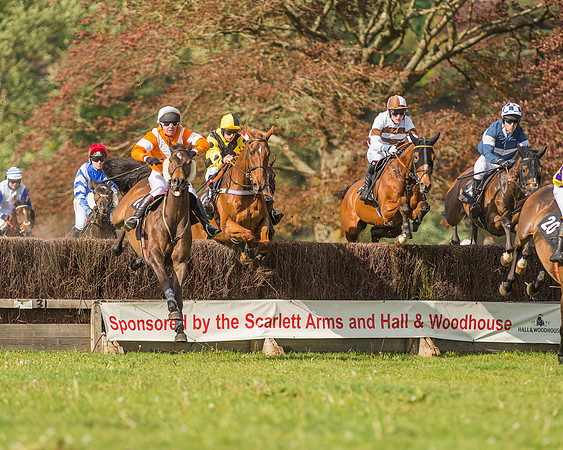 The South East Hunts Club Members conditions Race