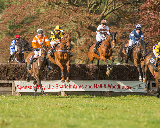 The South East Hunts Club Members conditions Race