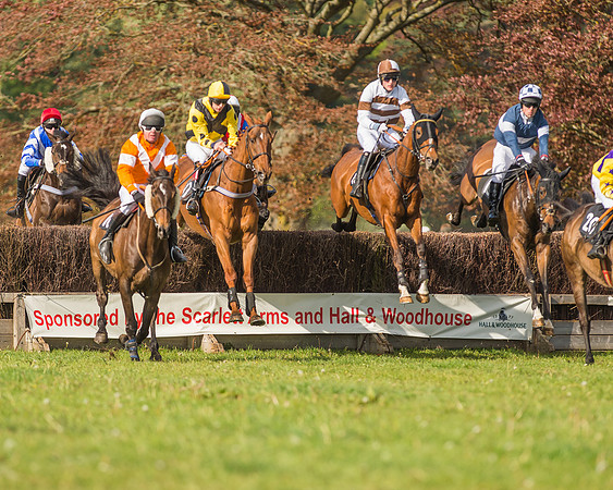 The South East Hunts Club Members conditions Race