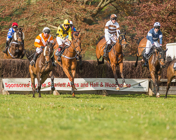 The South East Hunts Club Members conditions Race