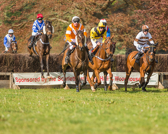 The South East Hunts Club Members conditions Race
