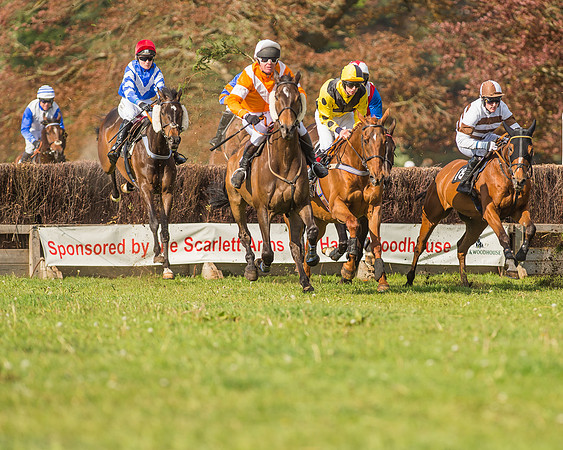 The South East Hunts Club Members conditions Race