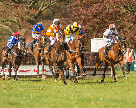 The South East Hunts Club Members conditions Race
