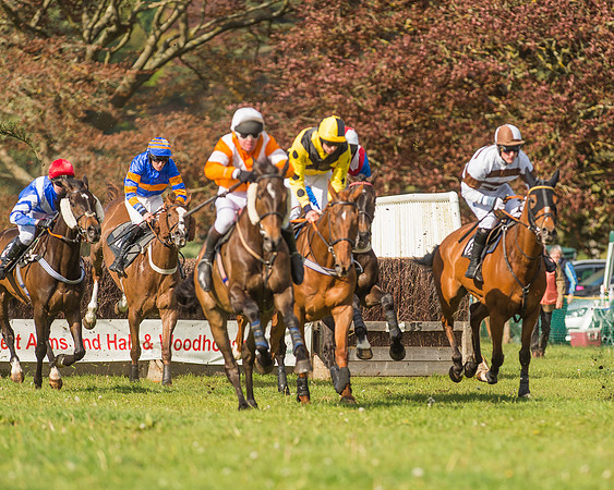 The South East Hunts Club Members conditions Race