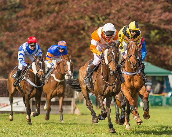 The South East Hunts Club Members conditions Race