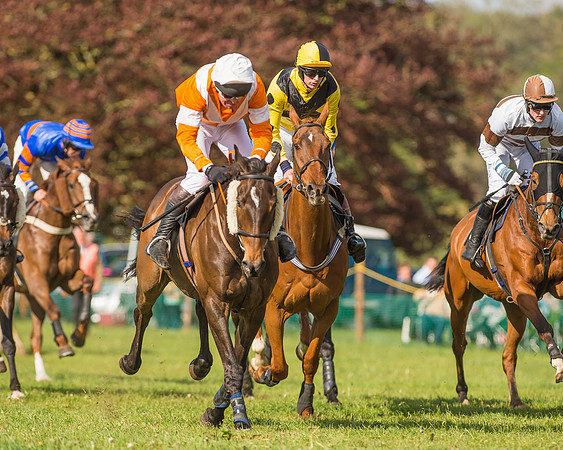The South East Hunts Club Members conditions Race