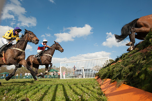The South East Hunts Club Members conditions Race