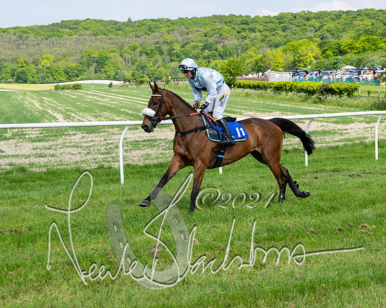 Race 3 - Ladies Open  (58 of 133)