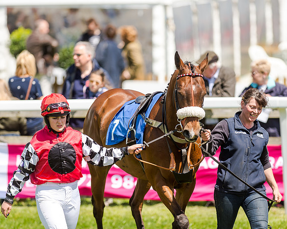 148cm Pony race - Grafton Pony Races 15th May 2017