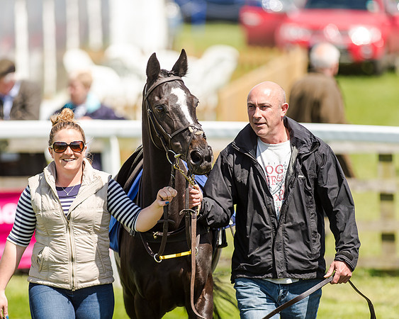 148cm Pony race - Grafton Pony Races 15th May 2017