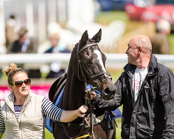 148cm Pony race - Grafton Pony Races 15th May 2017