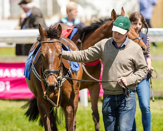 148cm Pony race - Grafton Pony Races 15th May 2017