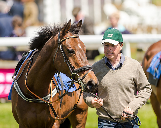148cm Pony race - Grafton Pony Races 15th May 2017