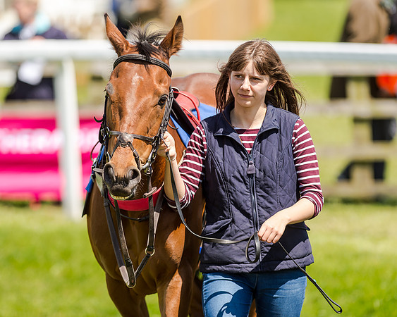 148cm Pony race - Grafton Pony Races 15th May 2017