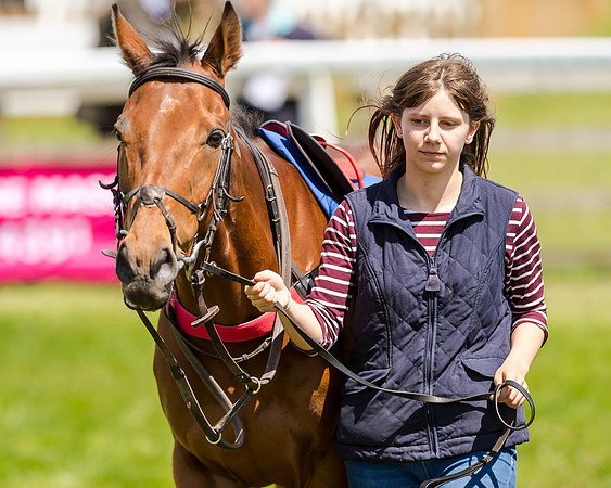 148cm Pony race - Grafton Pony Races 15th May 2017