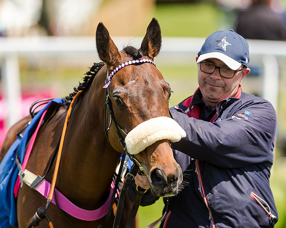 148cm Pony race - Grafton Pony Races 15th May 2017