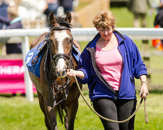148cm Pony race - Grafton Pony Races 15th May 2017
