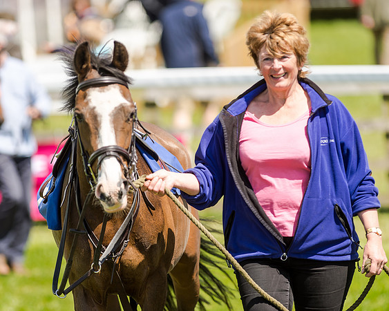 148cm Pony race - Grafton Pony Races 15th May 2017