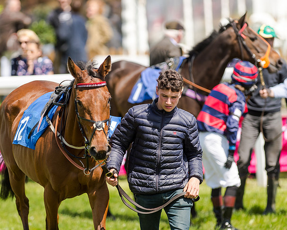 148cm Pony race - Grafton Pony Races 15th May 2017
