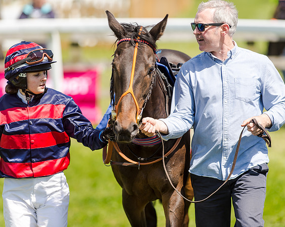 148cm Pony race - Grafton Pony Races 15th May 2017