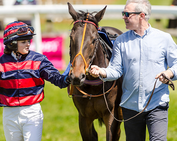 148cm Pony race - Grafton Pony Races 15th May 2017