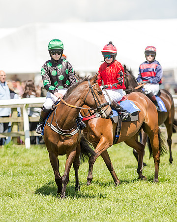 148cm Pony race - Grafton Pony Races 15th May 2017