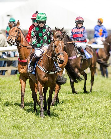 148cm Pony race - Grafton Pony Races 15th May 2017