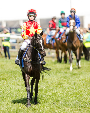 148cm Pony race - Grafton Pony Races 15th May 2017