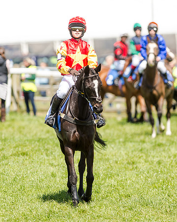 148cm Pony race - Grafton Pony Races 15th May 2017