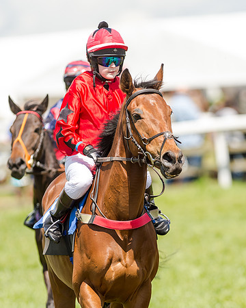 148cm Pony race - Grafton Pony Races 15th May 2017