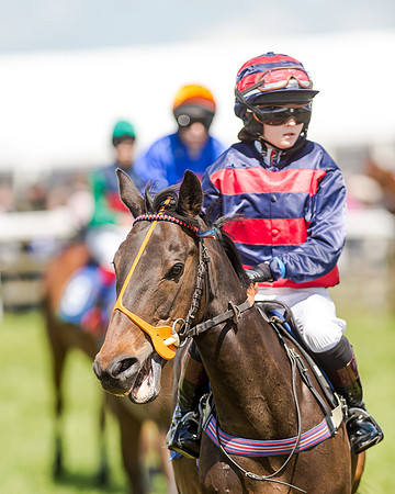 148cm Pony race - Grafton Pony Races 15th May 2017