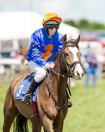 148cm Pony race - Grafton Pony Races 15th May 2017