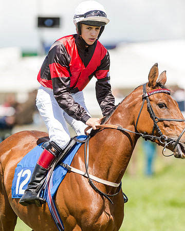 148cm Pony race - Grafton Pony Races 15th May 2017