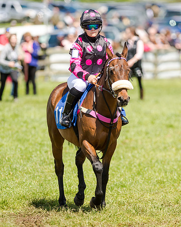 148cm Pony race - Grafton Pony Races 15th May 2017