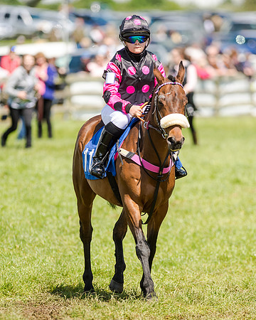 148cm Pony race - Grafton Pony Races 15th May 2017