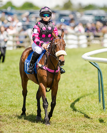 148cm Pony race - Grafton Pony Races 15th May 2017