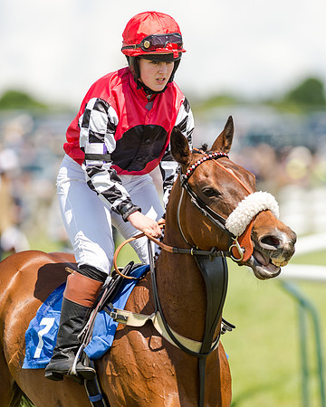 148cm Pony race - Grafton Pony Races 15th May 2017