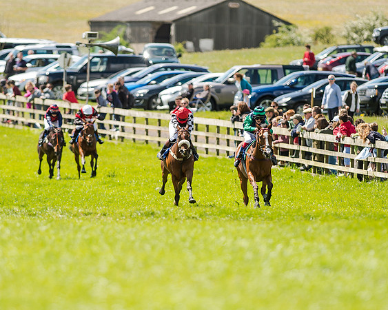 148cm Pony race - Grafton Pony Races 15th May 2017