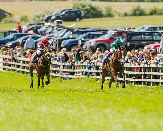 148cm Pony race - Grafton Pony Races 15th May 2017