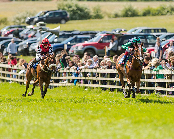 148cm Pony race - Grafton Pony Races 15th May 2017