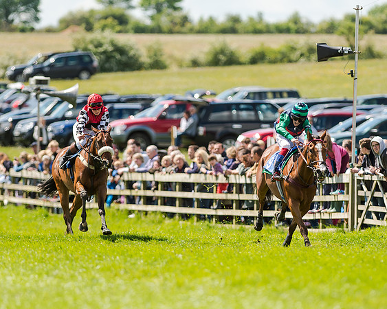 148cm Pony race - Grafton Pony Races 15th May 2017