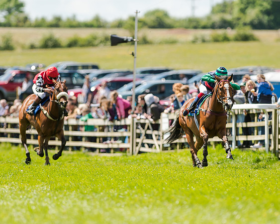 148cm Pony race - Grafton Pony Races 15th May 2017
