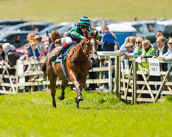 148cm Pony race - Grafton Pony Races 15th May 2017