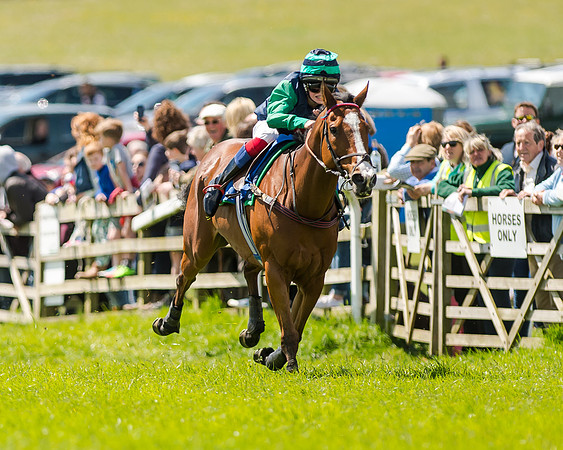 148cm Pony race - Grafton Pony Races 15th May 2017